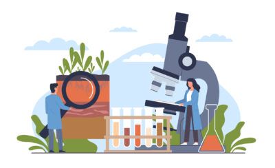 world food safety