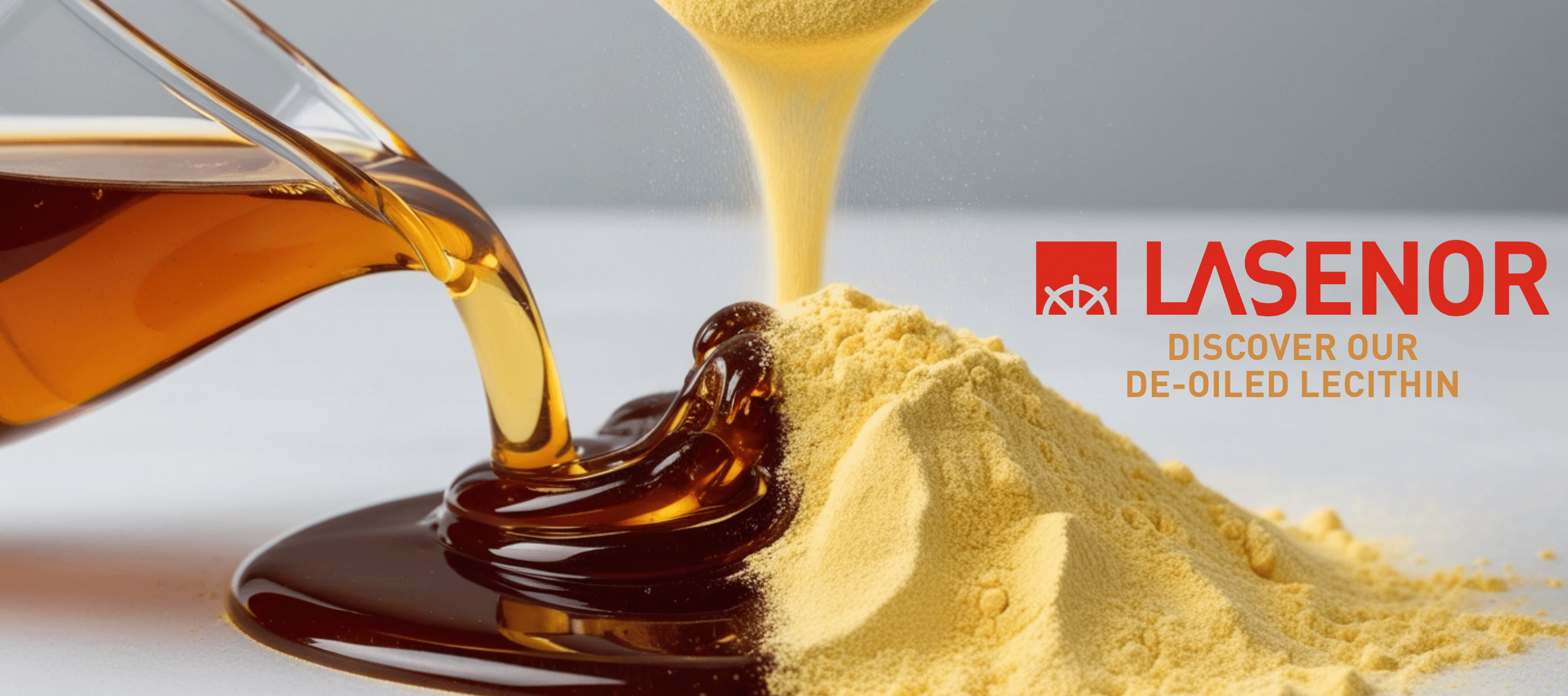 de-oiled lecithins