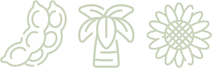 18 INFO Origen botanica 2023