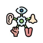 sensory