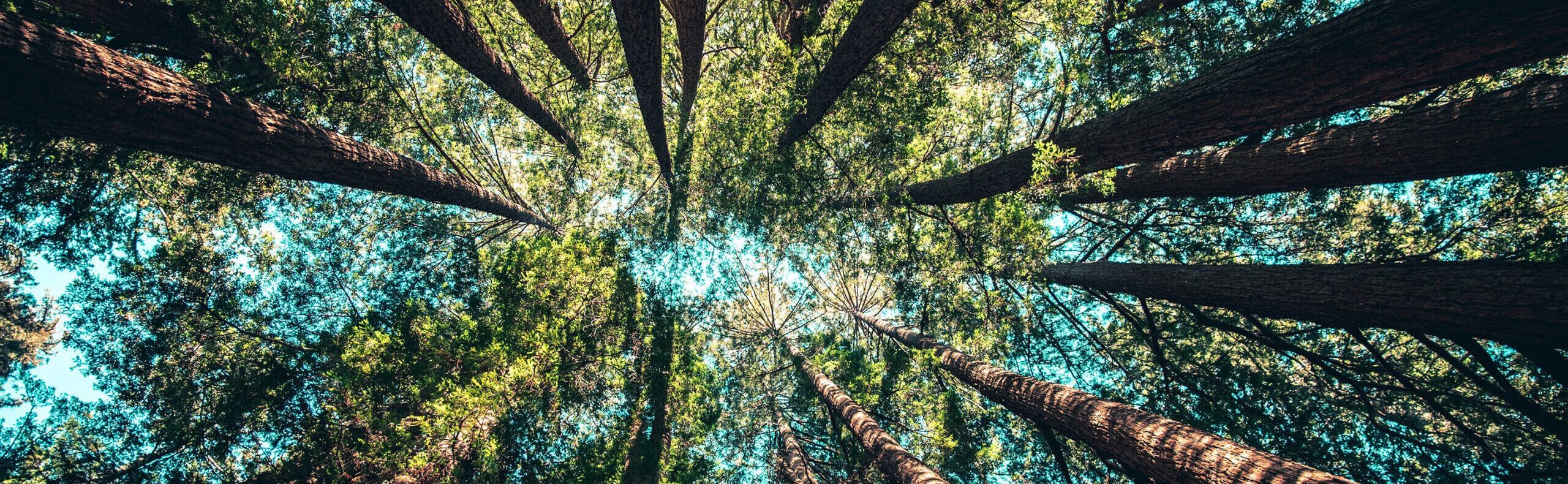 casey horner 4rDCa5hBlCs unsplash 1 scaled e1731945029423