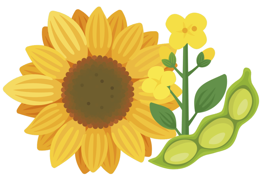 INFO GIRASOLES soja