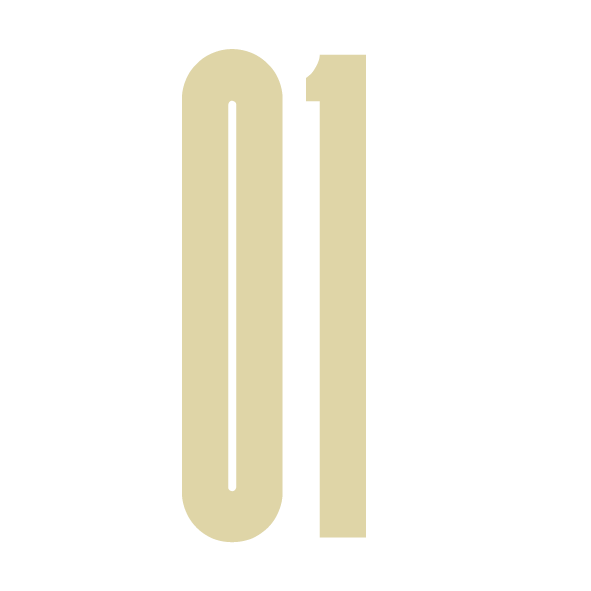 NUMEROS 01
