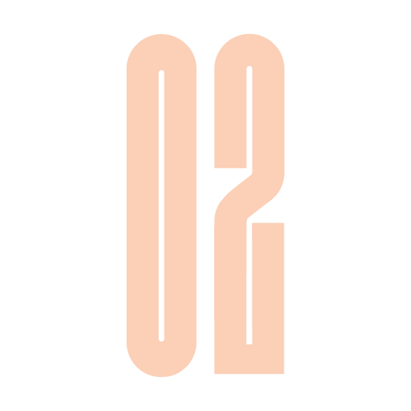 NUMEROS 02