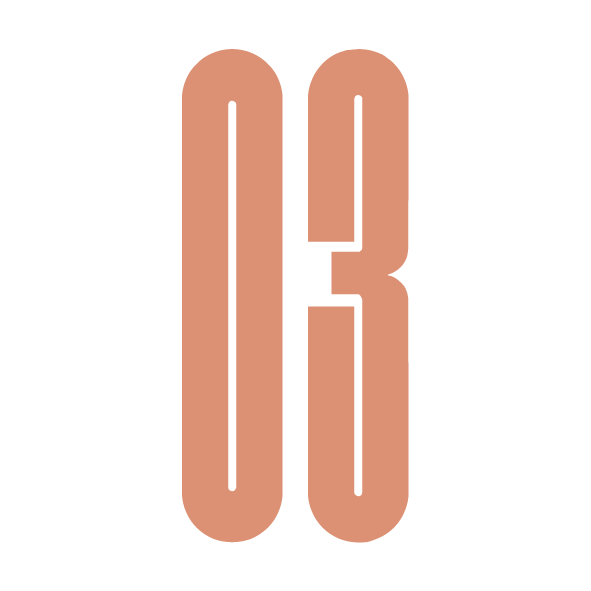 NUMEROS 03