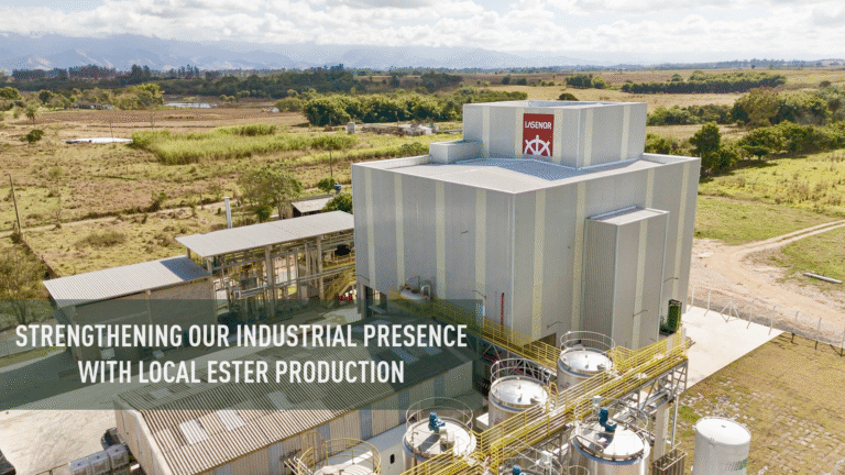 ESTER PRODUCTION