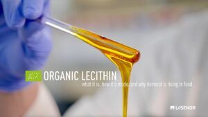 Organic Lecithin: what it is, how it’s made, and why demand is rising in food