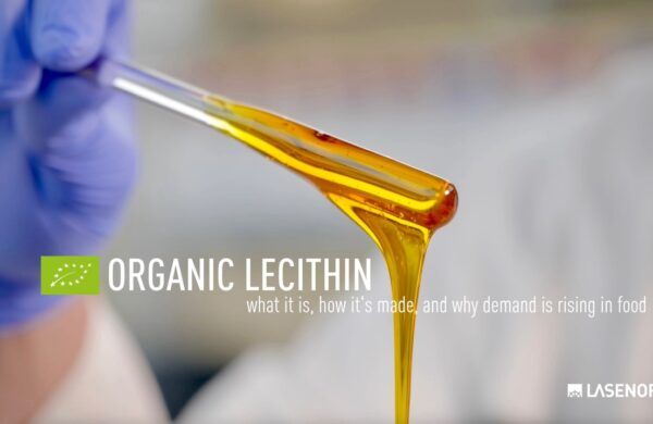 Organic Lecithin: what it is, how it’s made, and why demand is rising in food